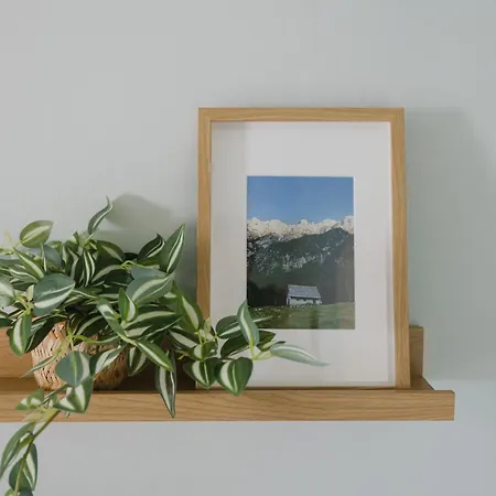 דירה Castle Road *